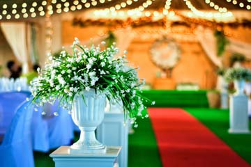 Wedding Planning Help